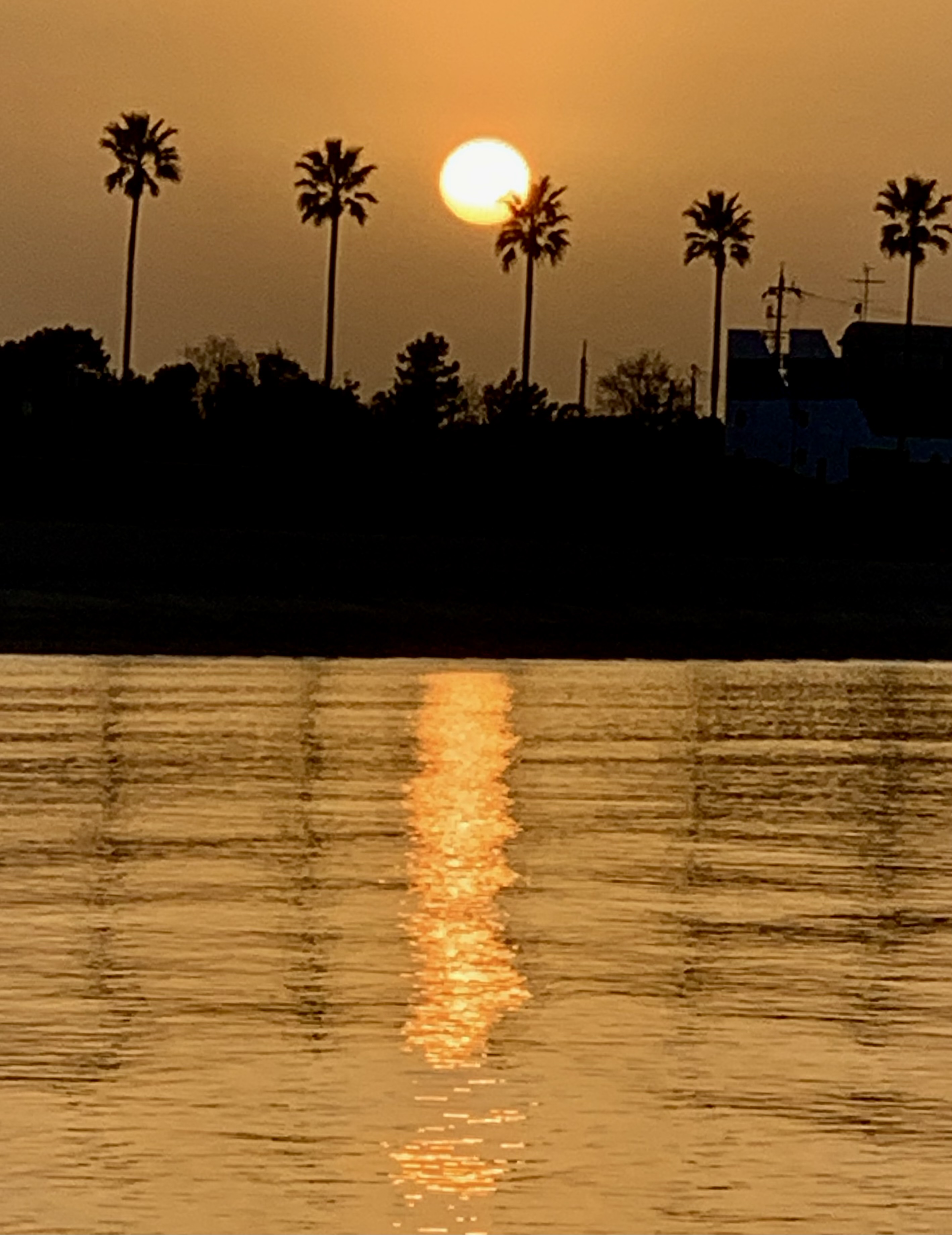 ファイル 6051-1.jpeg